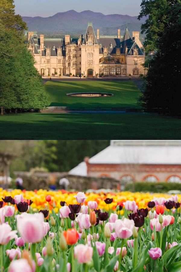 biltmore spring tours