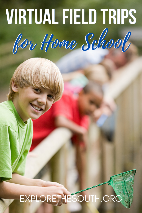 Virtual Field Trips for home school. Links to various sites offering virtual visits for educational and travel purposes.