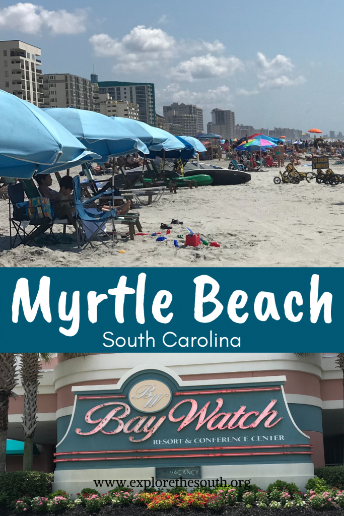 Beach umbrellas lined along the beach in the sand