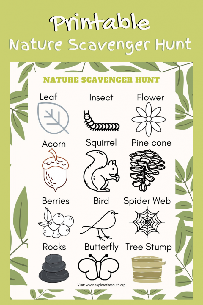 Picture of a Nature Scavenger Hunt for kids
